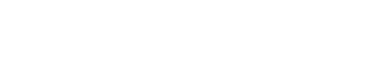 PREM.DOMAINS core logotype