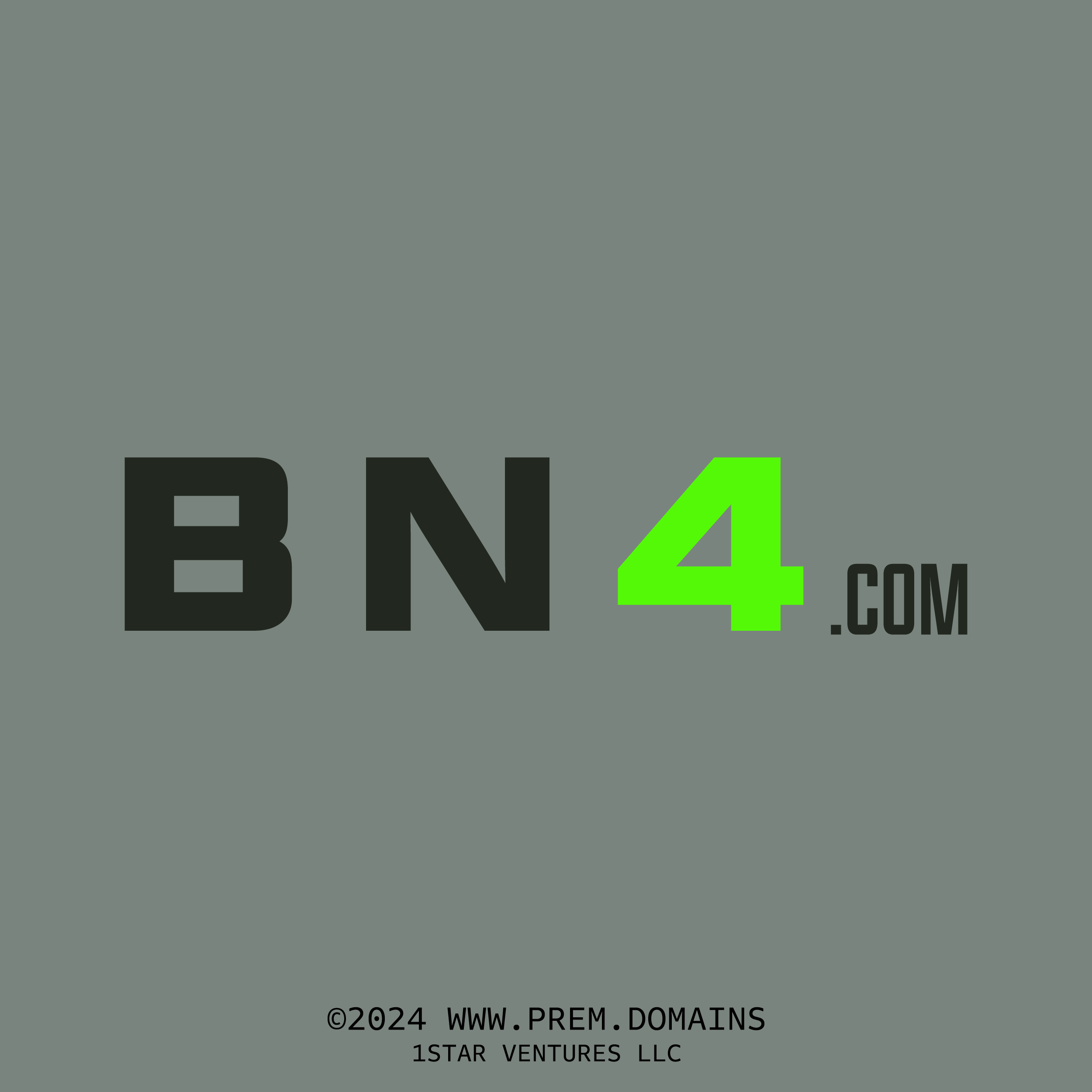 bn4.com custom logo product card image